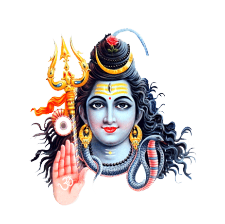 astrologer in mysore
